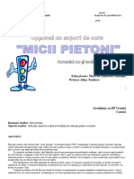 Optional Micii Pietoni-1