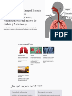 Guia de Atencion Integral Basada en La Evidencia para Neumoconiosis Silicosis Neumoconiosis Del Mine