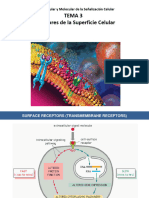 ACyMSC - 03-Surface Receptors