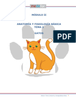 Módulo II de Psicologia Tema 2 Anatomía Gatos