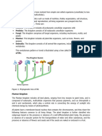 Purpose of Taxonomy in Biology