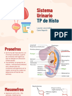 Urinario 1