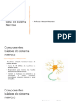 3 Neuroanatomia