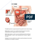 Referat Geriatrie