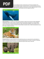 Animales 02-06-2023