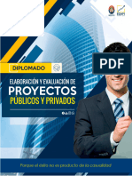 PROGRAMA Diplomado Proyectos