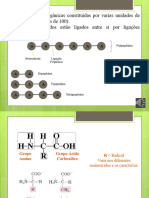 Aula 2 - Biologia Celularcont