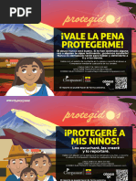 Afiches Indígenas Sierra