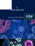 Aula Inflamação - 3