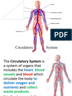 Circulatory System