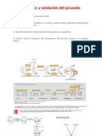 Glucólisis y Oxidación de Piruvato