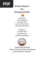 Ornamental Fish Business Report