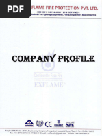 Exflame - Big Company Profile