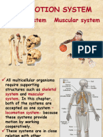 Locomotion System