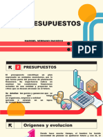 Generalidades Sobre El Presupuesto