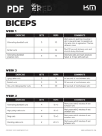 KM Shattered Training Biceps