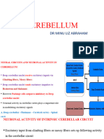 CEREBELLUM - Class 2