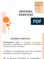 04 - Sistema Nervoso