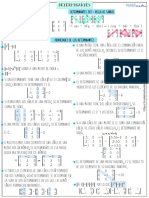 Resumen Determinantes