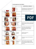 Pares Biomagneticos Por Orden Alfabetico