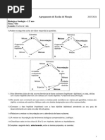 Ficha 7 Bio - Ciclos de Vida