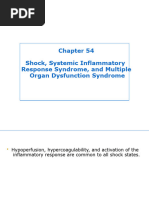 Chapter54 Shock Critical 2