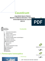 Navarro P. Jorge E. Causticum