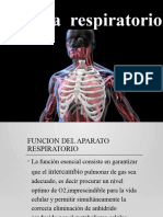 Sistema Respiratorio Fisiologia Completo