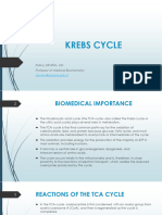 Krebs Cycle