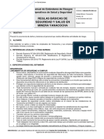 YAN-HS-STA RO-015 Reglas Básicas de Seguridad y Salud en Minera Yanacocha