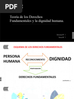 CLASE 2-Teoría de Los Derechos Fundamentales y La Dignidad Humana