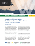 Localizing Climate Action: The Path Forward For Low and Middle-Income Countries in The MENA Region