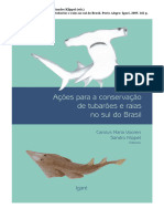 Vooren e Klippel - Ações para A Conservação D e Tubarões e Raias No Sul Do Brasil