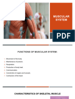 Muscular System - 1