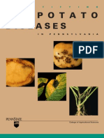 Diseases Potato: I D E N T I F Y I N G