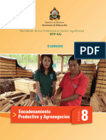 Manual 8 Encadenamiento Productivo y Agronegocios BTPGA Limpio