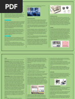 Ensayos Macroscópicos y Microscópicos