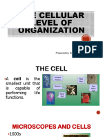 The Cellular Level of Organization