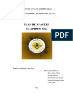 Plan de Afaceri SC APIDUM SRL