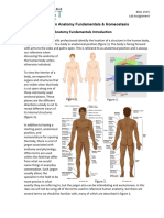 Human Anatomy Basics and Homeostasis Lab