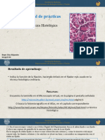 Practica 2. Tecnica Histologica