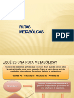 Rutas Metabolicas