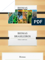 Biomas Brasileiros