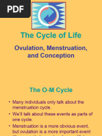 Ovarian and Menstrual Cycle