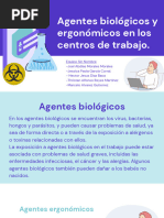 Agentes Biológicos y Ergonómicos en Los Centros de Trabajo - Equipo Sin Nombre