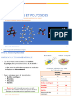 SV D 2 2 Oses Et Polyosides Planches - SD 2023