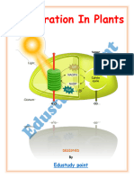 Respiration in Plants (Edustudy Point) - Unlocked