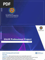 Proyecto Profesional CILCE 2024-1