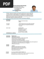 CV Cristian Chipana