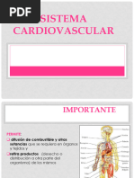 Cardiovascular